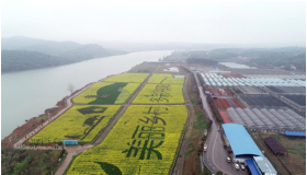祁阳金门山小区疫情报备在哪里报备海漂死亡猪再现金门小丘岛!尸体外观腐烂被啃食