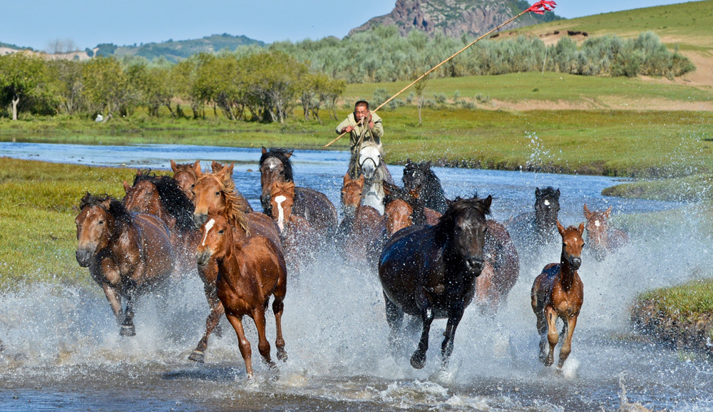 刻木山村:"一亩脐橙半个儿"